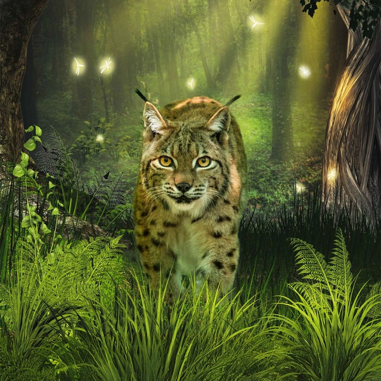 Vajdahunyadvári programok 2026 Budapest. Események, rendezvények