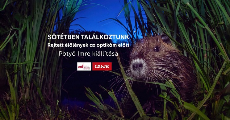 Gödöllői Királyi Kastély kiállítás 2026