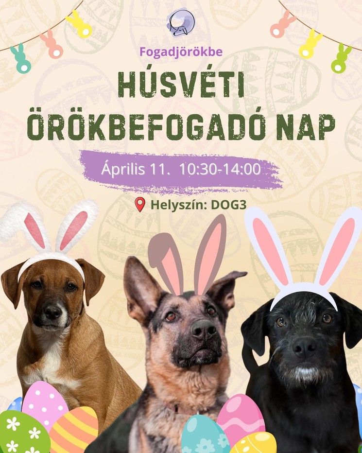 Örökbefogadó nap 2026 - Programok, események és rendezvények