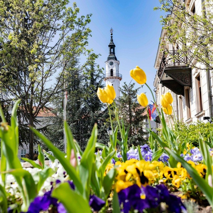 Veszprémi programok 2026 - Események, rendezvények