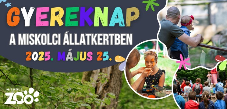 Miskolc Gyermeknap 2025. Gyereknapi programok, események, rendezvények