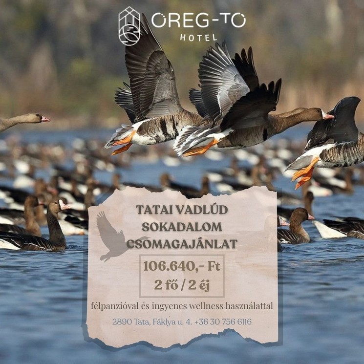 Tatai Vadlúd Sokadalom szállással az Öreg-tó Hotelben