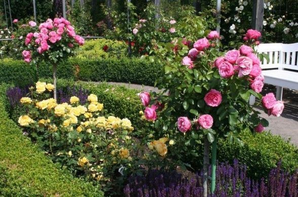 Erdőkertesi Kertészeti Fesztivál 2026 Erdőkertes