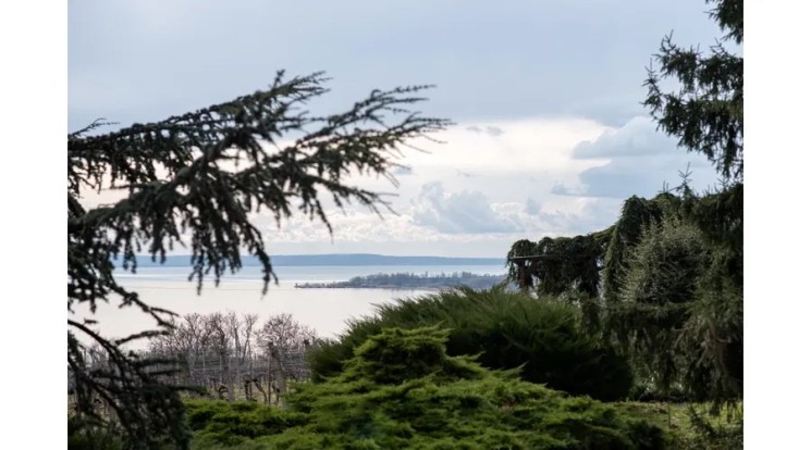 Folly Arborétum programok 2025 Badacsonyörs. Események, rendezvények