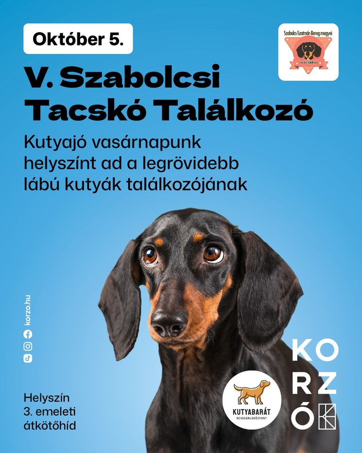 Tacskó Találkozó Nyíregyháza 2025