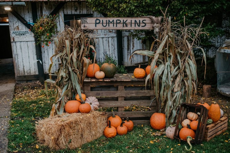 Tökös Napok Hajdúszoboszló 2026