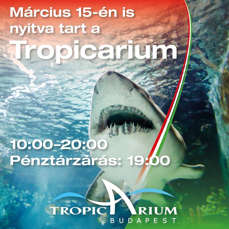 2026. március 15. Budapest Tropicarium - Családi program a cápás állatkertben