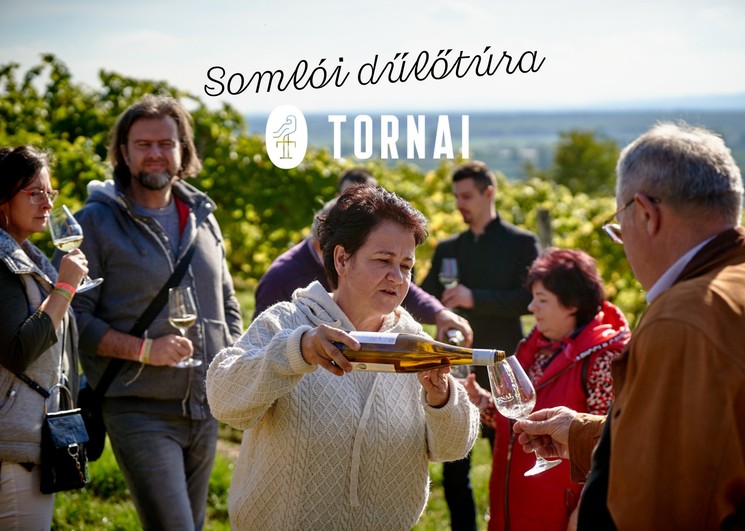 Tornai Pünkösd 2025 Somlójenő. Pünkösdi dűlőtúra a Somlón