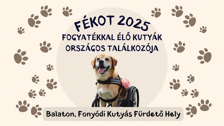 Fogyatékkal Élő Kutyák Országos Találkozója 2025 Fonyód