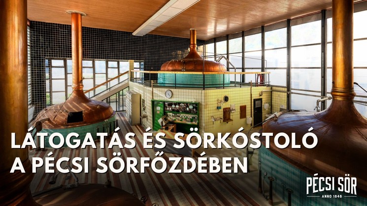 Pécsi sörtúra 2025. Izgalmas Pécsi Sör főzdelátogatás sörkóstolással minden szombaton