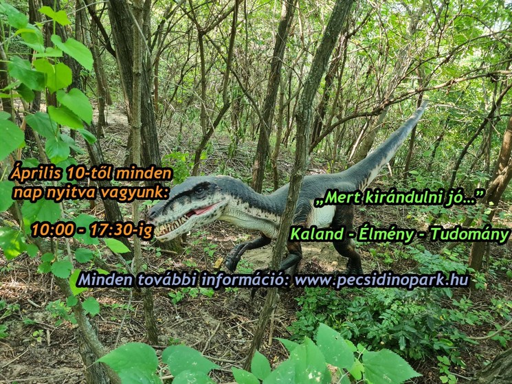 Dinó Park Pécsen a festői Malomvölgyben, egy szuper program az egész családnak játékokkal kicsiknek és nagyoknak!