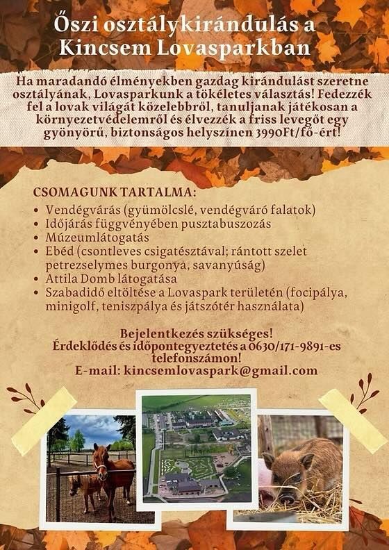 Aktív osztálykirándulás ősszel a Kincsem Lovasparkban a felejthetetlen közös élményekért