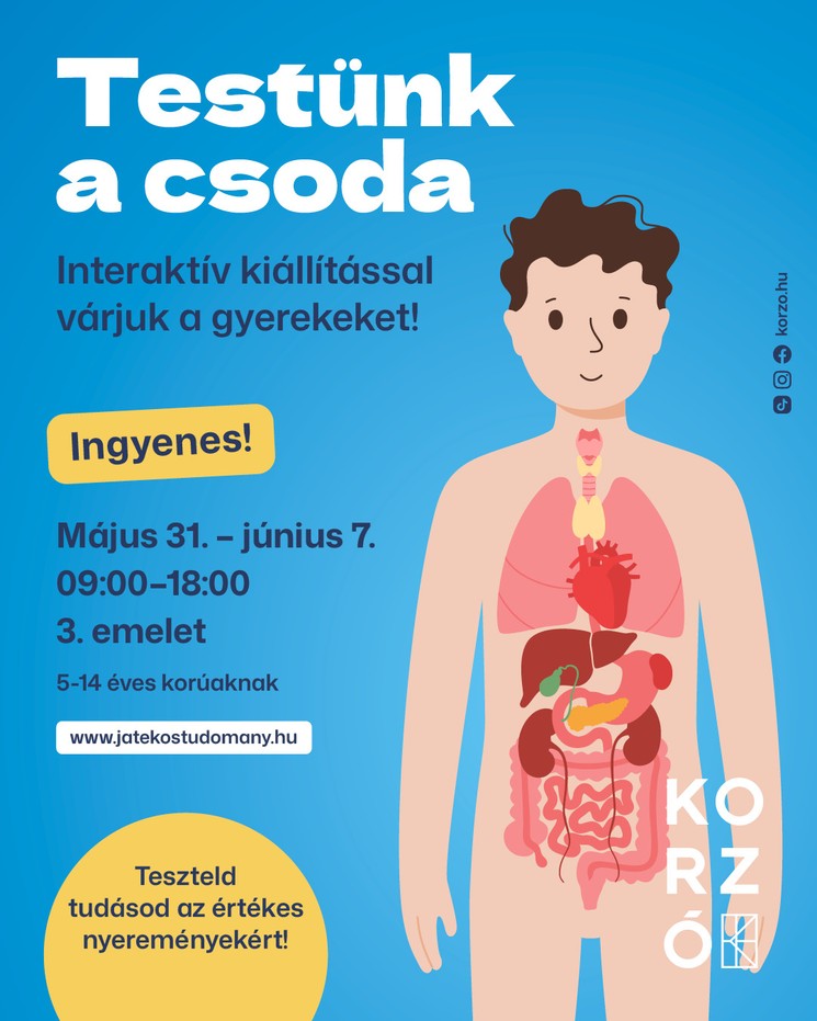 Emberi test kiállítás 2025 Nyíregyháza. Lépj be az emberi test lenyűgöző világába, testünk a csoda interaktív kiállítás gyerekeknek