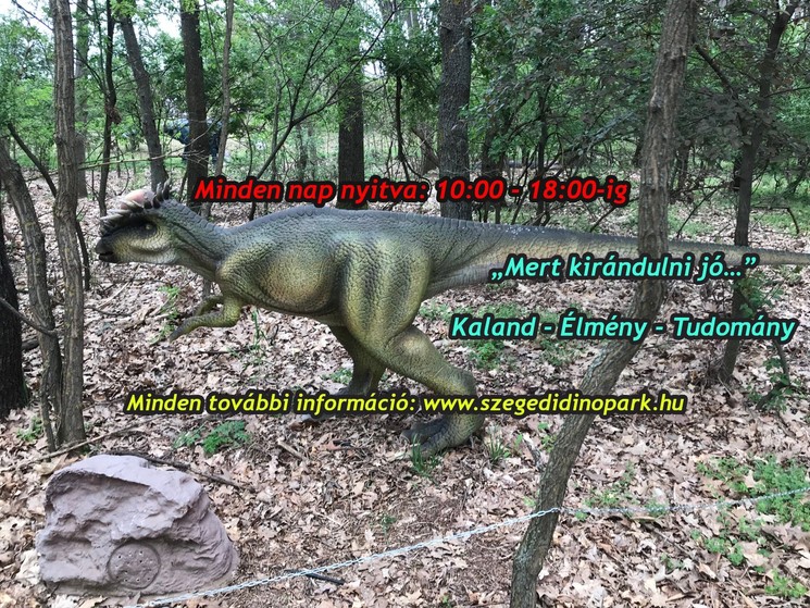 Dinopark Szeged mellett, egy szuper program az egész családnak játékokkal kicsiknek és nagyoknak!