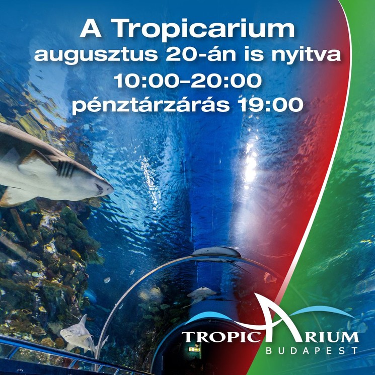 2025. augusztus 20 Budapest Tropicarium látogatás