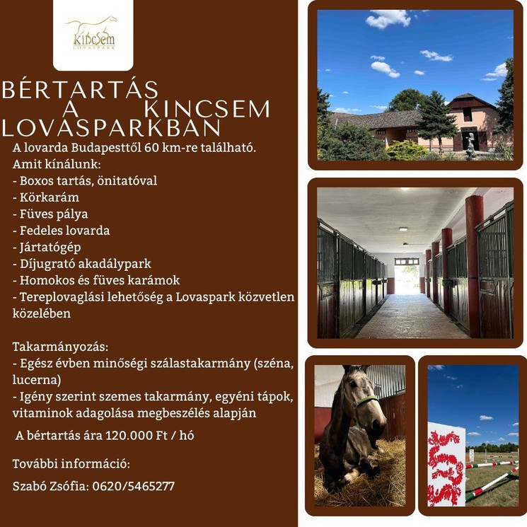 Ló bértartás Pest megyében a Kincsem Lovasparkban