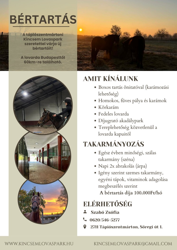 Ló bértartás Pest megyében a Kincsem Lovasparkban