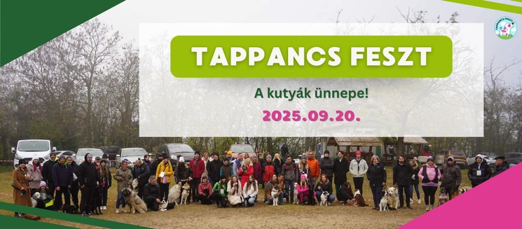 Tappancs Feszt 2025 Budapest. Egy felejthetetlen élmény a kutyáddal!