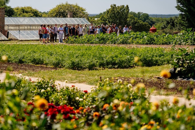 Élet a Krisna-völgyben 2025. Előadások, séták