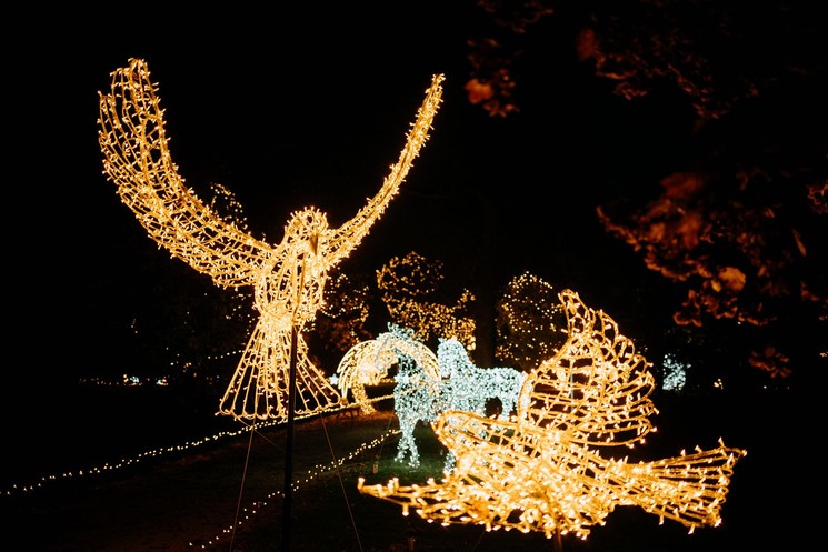 Fénykiállítás Pécs 2025. Tündérfények világa a mesebeli fényerdőben