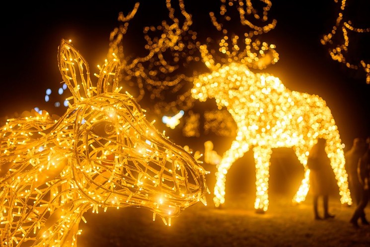 Fénykiállítás Szolnok 2025. Varázslatos séta a fényállatok kertjében a Bagolyvár Vadasparkban