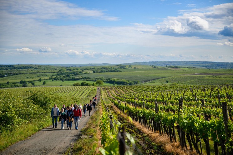 Dűlőtúra Eger 2026 - Kadarka bortúra és borkóstoló