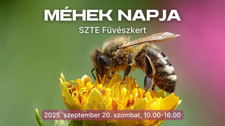 Szegedi Füvészkert programok 2025. Események, rendezvények, fesztiválok
