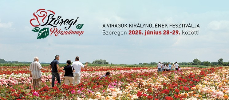 Szőregi Rózsaünnep 2025. A virágok királynőjének fesztiválja