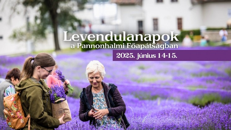 Levendula szüret Pannonhalma 2025. Szedd magad levendula a Pannonhalmi Főapátság Gyógynövénykertjében