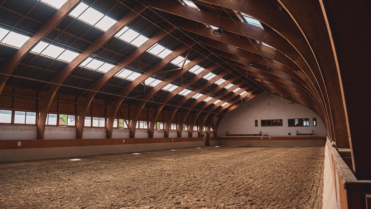 Fedeles lovarda bérelhető a Hétkúti Lovasparkban Móron