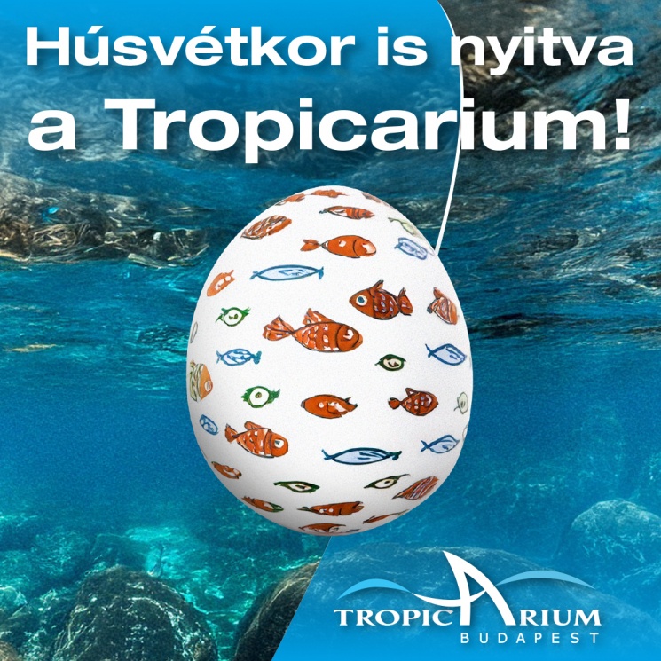 Húsvét a Tropicariumban 2026. Ünnepi hétvége a cápás állatkertben
