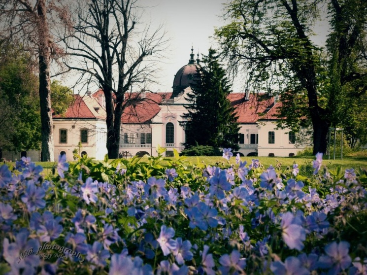 Tárlatvezetés Gödöllői Királyi Kastély 2025