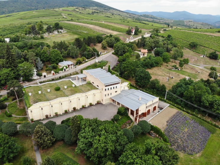 Borkóstoló Tolcsván a Tokaj-Oremus több száz éves pincéiben, 1000 hordó között sétálva