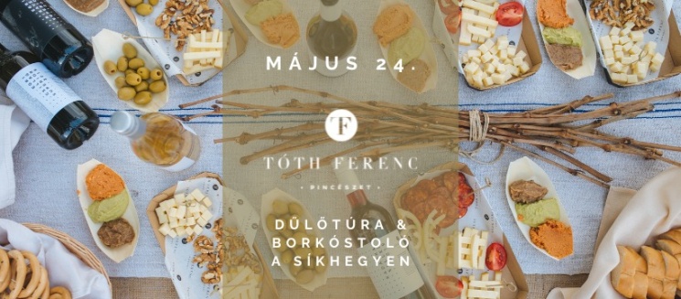 Borkóstoló Eger 2025. Dűlőtúra & borkóstoló a Síkhegyen