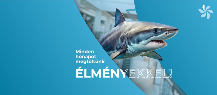 Campona élmény 2025. Töltsd meg az évet minden hónapban felejthetetlen programokkal a Camponában!