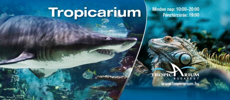 Tropicarium programok 2024 Budapest