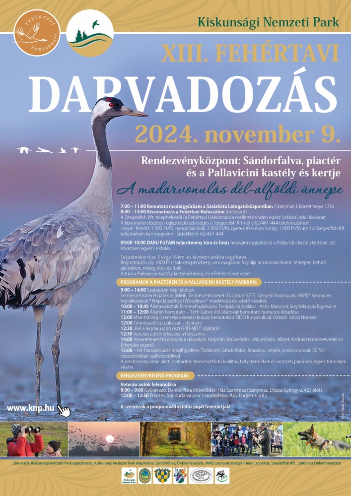 Fehértavi Darvadozás 2024. A madárvonulás dél-alföldi ünnepe