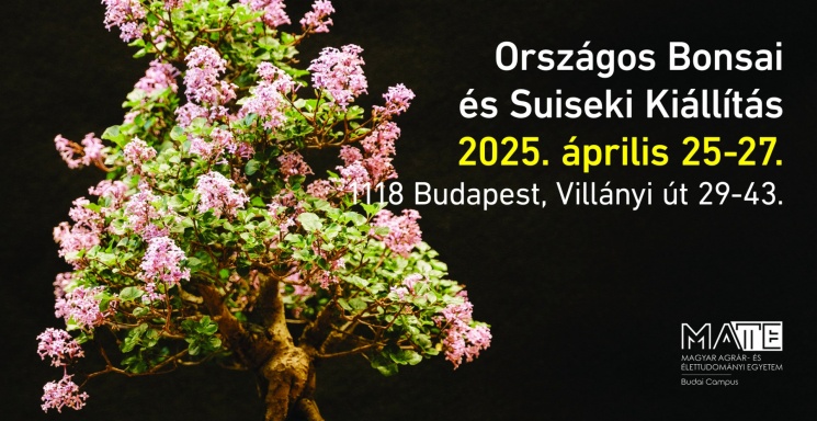 Bonsai kiállítás 2025 Budapest. Országos Bonsai és Suiseki  Kiállítás