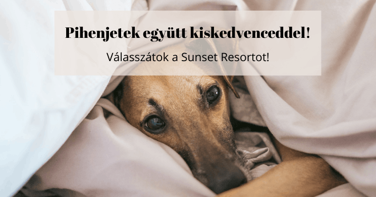 Fonyódi szállás, pihenj együtt kiskedvenceddel a Sunset Resort Apartmanházban