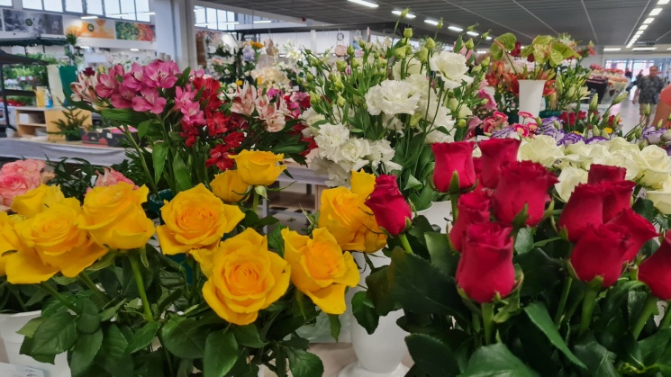 Anyák napi virágvásár 2024 Szombathely. Gyere  a Vásárcsarnokba és válogass a friss virágok közül!