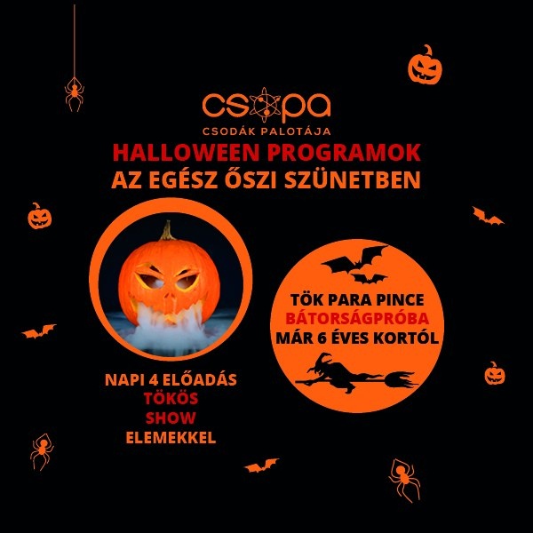 Tökös Halloween programok Budapest. Tök Para Pince és tökös kísérletek a Csodák Palotájában