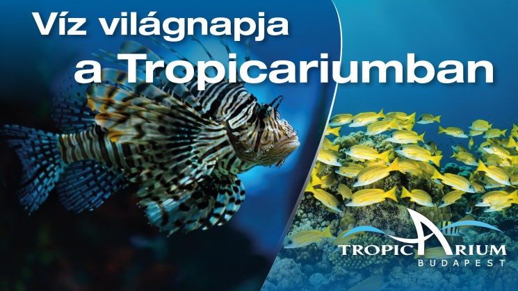 Víz világnapja Tropicarium 2025 Budapest