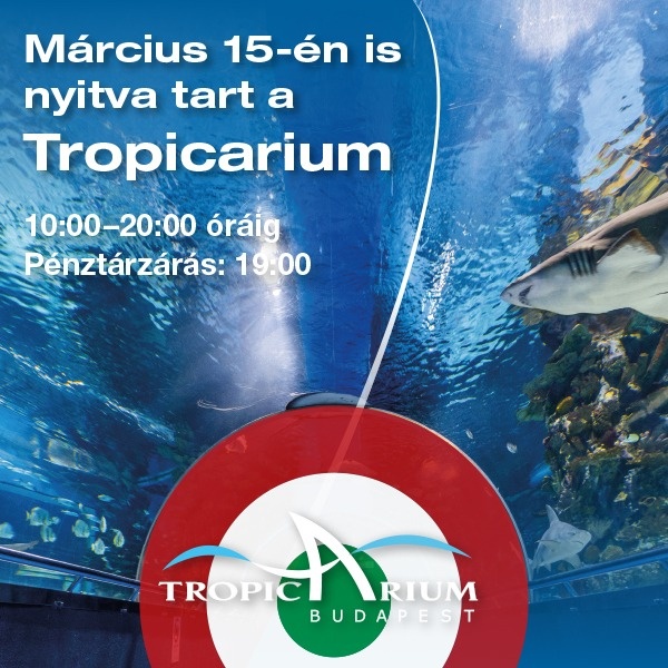 2025. március 15. Budapest Tropicarium. Családi program a cápás állatkertben