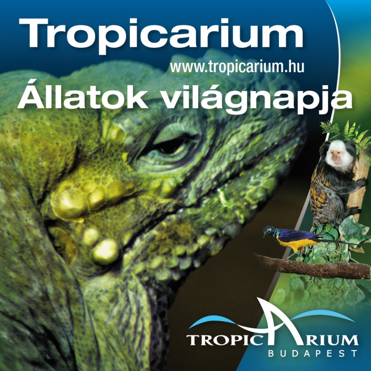 Állatok Világnapja Tropicarium 2023