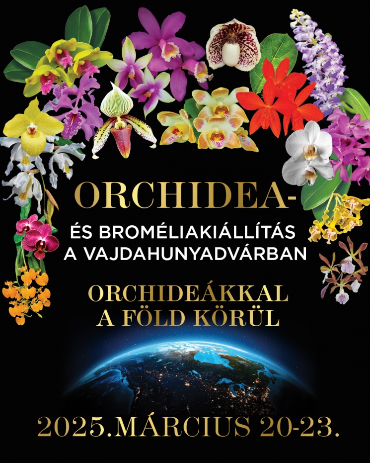 Orchidea program Budapest 2025