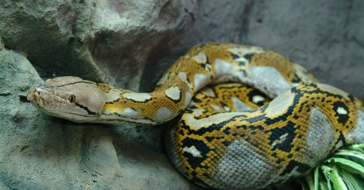 Interaktív óra Budapest 2026 - interaktív élmény gyerekeknek a Tropicariumban