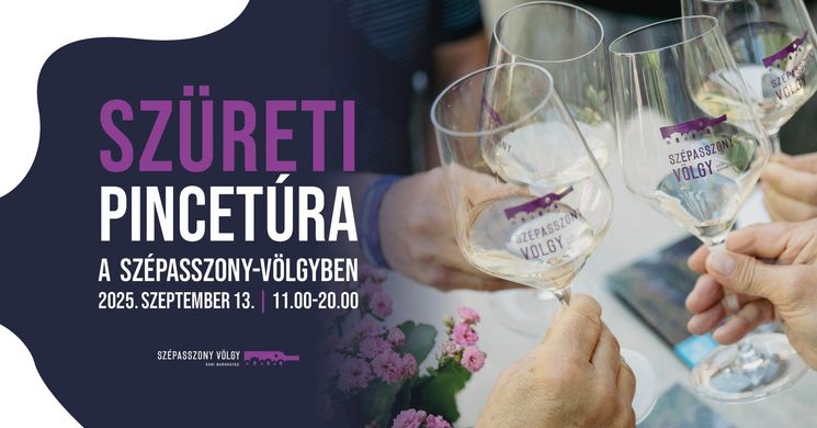 Egri pincék, pincetúrák 2025. Borkóstoló programok a Szépasszony-völgyben, az Egri Bornegyedben