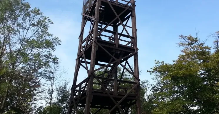 Kőris-hegyi kilátó túra a Bakonyban, kirándulás a Vajda Péter kilátóhoz