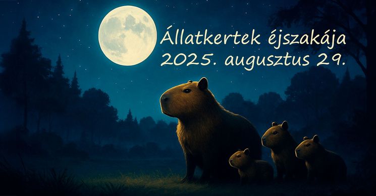 Állatkertek Éjszakája Győr 2025