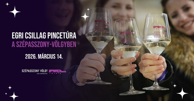 Boros programok Eger 2026 - Borkóstolók, pincetúrák 